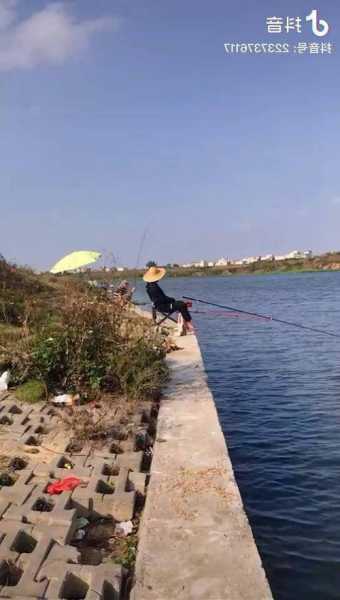 化州海底钓鱼怎么样？化州海底钓鱼怎么样好钓吗？-第3张图片-平阳县乌魄百货商行