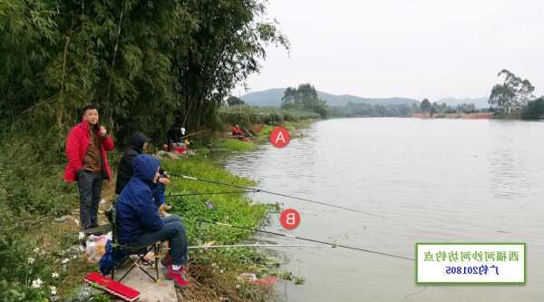 大坝上钓鱼怎么样，河流大坝钓鱼在什么位置好！-第3张图片-平阳县乌魄百货商行