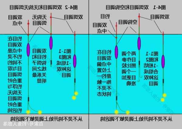 钓鱼怎么样调目？怎么选择调目和钓目？-第1张图片-平阳县乌魄百货商行