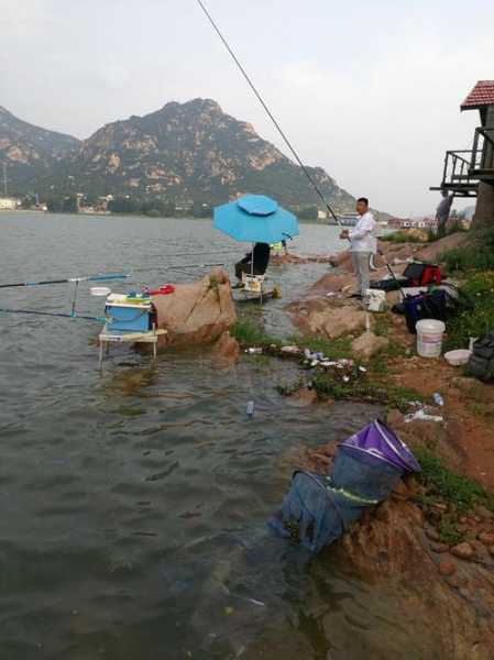 陡峭水库钓鱼怎么样？陡山水库可以钓鱼吗？-第3张图片-平阳县乌魄百货商行