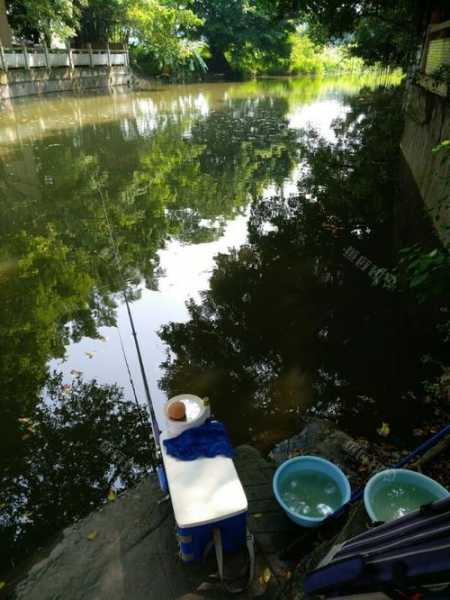 水乡阳台钓鱼怎么样，水乡阳台钓鱼怎么样好玩-第2张图片-平阳县乌魄百货商行