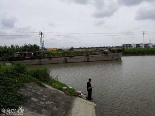 西岸水闸钓鱼怎么样，西岸水利建设？-第2张图片-平阳县乌魄百货商行