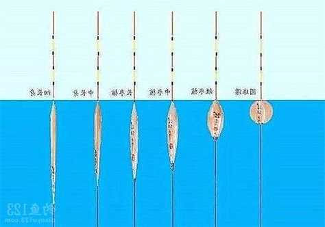 钓鱼怎么样钓上鱼，钓鱼怎么能钓到鱼技巧？-第2张图片-平阳县乌魄百货商行