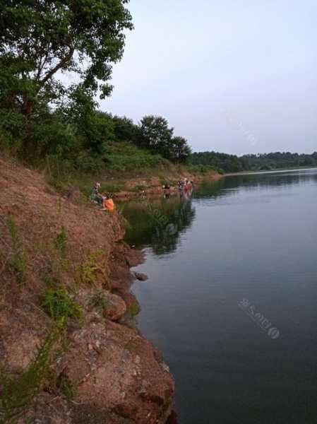 浮桥河野钓鱼怎么样？浮桥河水库钓鱼在哪个位置？-第1张图片-平阳县乌魄百货商行