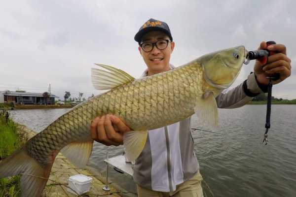 陌陌钓鱼怎么样？陌陌钓鱼怎么才能钓大鱼？-第2张图片-平阳县乌魄百货商行