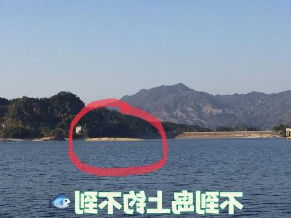 白河岛上钓鱼怎么样？白河湾野钓？-第3张图片-平阳县乌魄百货商行