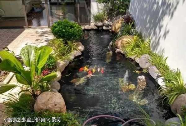 庭院鱼池钓鱼怎么样，鱼池 庭院-第3张图片-平阳县乌魄百货商行