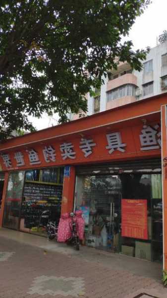 开个钓鱼超市怎么样，开个钓鱼店大概需要多少钱！-第1张图片-平阳县乌魄百货商行