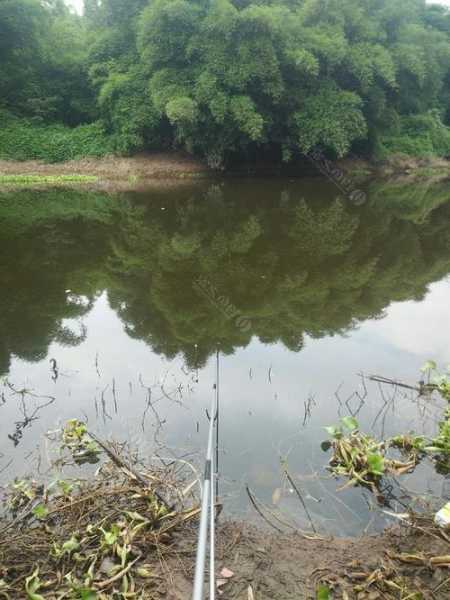 乐至泥鳅钓鱼怎么样，乐山泥溪河哪里好钓鱼吗-第1张图片-平阳县乌魄百货商行