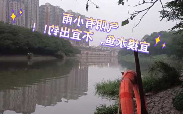 海南小雨钓鱼怎么样，小雨适不适合钓鱼！-第2张图片-平阳县乌魄百货商行