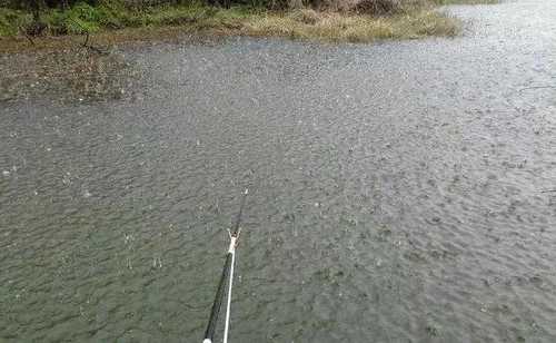 海南小雨钓鱼怎么样，小雨适不适合钓鱼！-第3张图片-平阳县乌魄百货商行