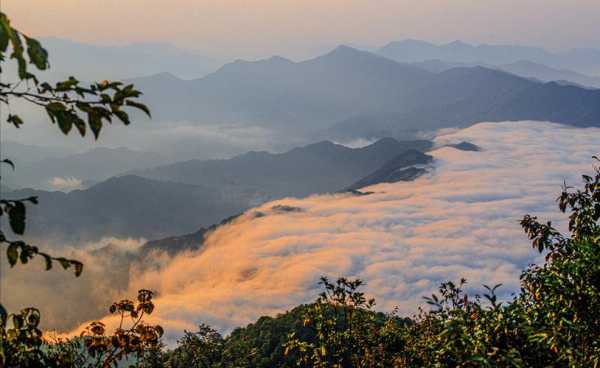 崇义茶摊钓鱼怎么样，江西崇义茶叶？-第3张图片-平阳县乌魄百货商行