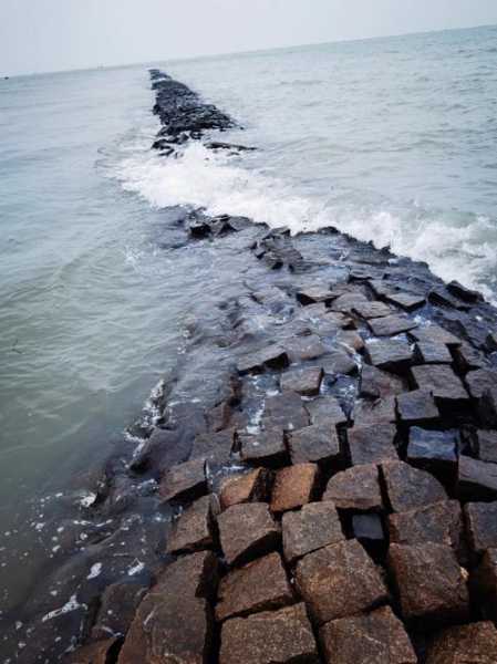 海堤滩涂钓鱼怎么样，海堤堤坝-第1张图片-平阳县乌魄百货商行