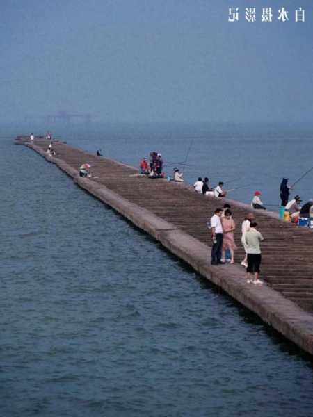 海堤滩涂钓鱼怎么样，海堤堤坝-第2张图片-平阳县乌魄百货商行