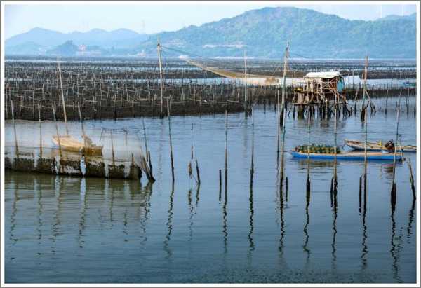 海堤滩涂钓鱼怎么样，海堤堤坝-第3张图片-平阳县乌魄百货商行