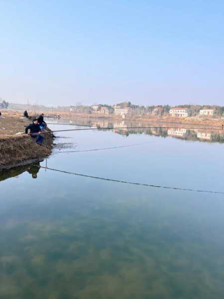 贺兰烧烤钓鱼怎么样，贺兰县野钓的地方？-第1张图片-平阳县乌魄百货商行