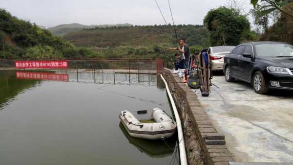 张湾桃园钓鱼怎么样，张湾桃园钓鱼怎么样呀？-第3张图片-平阳县乌魄百货商行