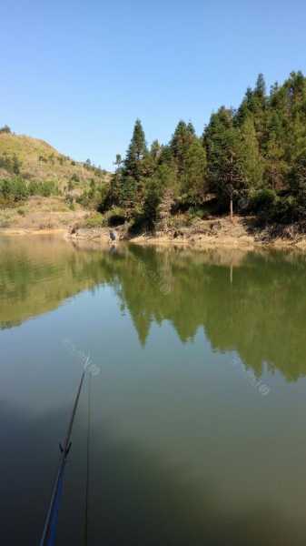 龙塘坝钓鱼怎么样，重庆龙塘沟水库可以钓鱼吗！-第1张图片-平阳县乌魄百货商行