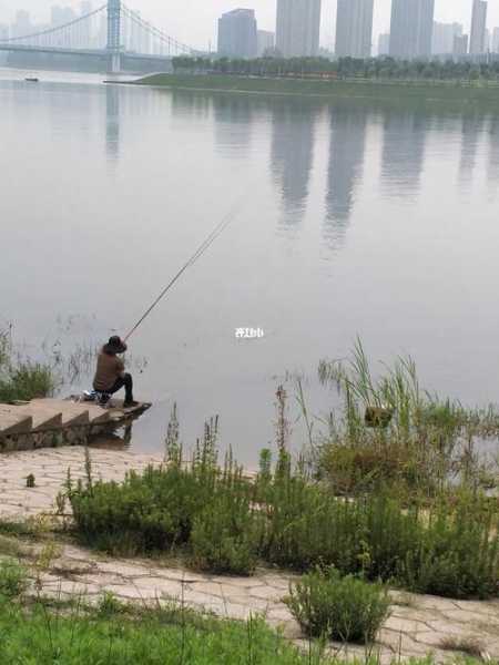 茶园码头钓鱼怎么样，茶园水库可以钓鱼吗-第2张图片-平阳县乌魄百货商行