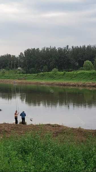 石龙河沟钓鱼怎么样，石龙河在哪里-第1张图片-平阳县乌魄百货商行