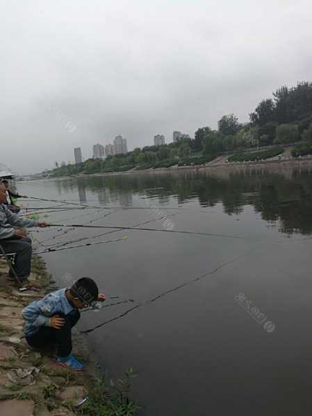 湛河钓鱼怎么样，湛河有多深！-第1张图片-平阳县乌魄百货商行