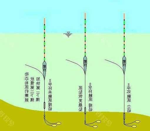 怎么样钓鱼最爽视频，怎么钓鱼视频教程？-第2张图片-平阳县乌魄百货商行