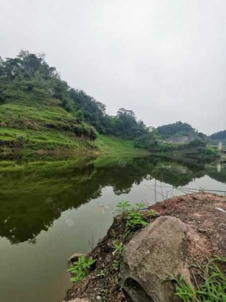 蟠龙湖钓鱼怎么样，蟠龙湖水库在哪里？-第1张图片-平阳县乌魄百货商行