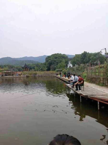 农庄池塘钓鱼怎么样，农家乐钓鱼塘-第3张图片-平阳县乌魄百货商行