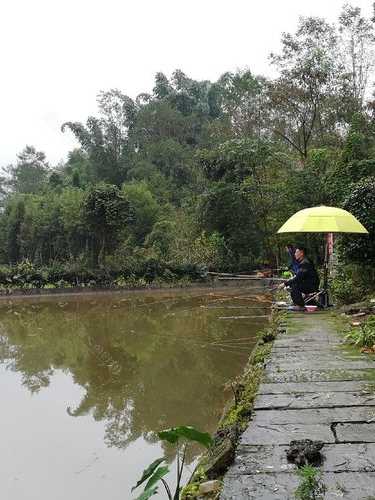 香花钓鱼效果怎么样，香花钓鱼效果怎么样呀！-第3张图片-平阳县乌魄百货商行