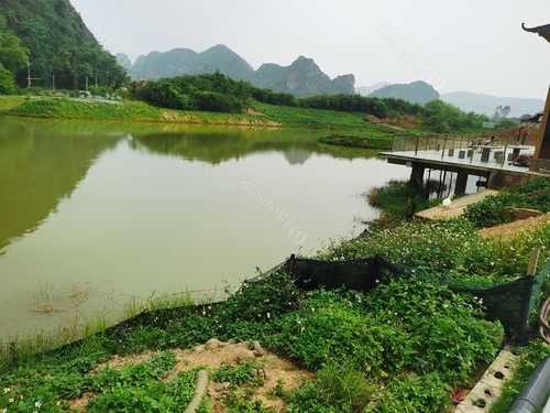 武鸣凉亭钓鱼怎么样，武鸣钓鱼的地方免费-第1张图片-平阳县乌魄百货商行