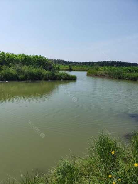 鸡西河畔钓鱼怎么样，鸡西钓场都有哪些？-第1张图片-平阳县乌魄百货商行