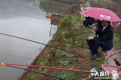 肇庆下雨钓鱼怎么样，肇庆钓鱼天气-第1张图片-平阳县乌魄百货商行