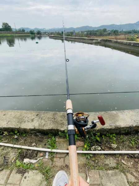 肇庆下雨钓鱼怎么样，肇庆钓鱼天气-第2张图片-平阳县乌魄百货商行