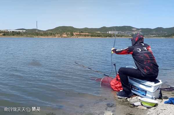 盛夏南风钓鱼怎么样，夏季南风好不好钓鱼-第1张图片-平阳县乌魄百货商行