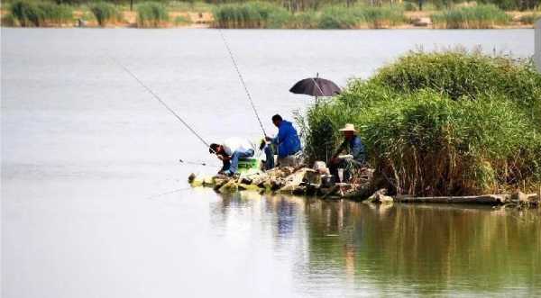 盛夏南风钓鱼怎么样，夏季南风好不好钓鱼-第2张图片-平阳县乌魄百货商行