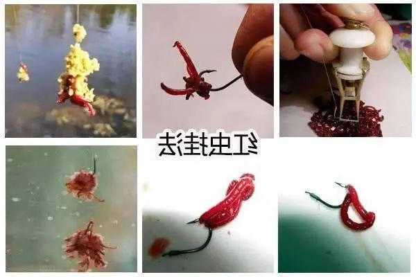 怎么样使用红虫钓鱼？红虫怎么钓大鱼？-第1张图片-平阳县乌魄百货商行