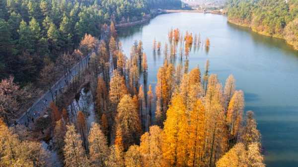 竹园室内钓鱼怎么样，竹园水库？-第1张图片-平阳县乌魄百货商行