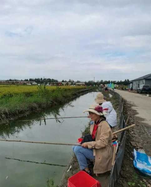 曹妃甸码头钓鱼怎么样，曹妃甸码头钓鱼怎么样啊-第1张图片-平阳县乌魄百货商行