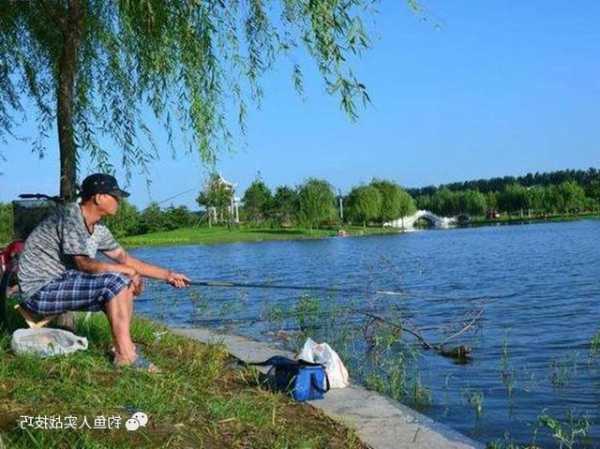 花沟钓鱼怎么样，花沟钓鱼怎么样才能钓到-第2张图片-平阳县乌魄百货商行