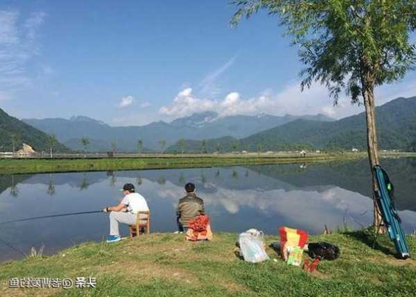 花沟钓鱼怎么样，花沟钓鱼怎么样才能钓到-第3张图片-平阳县乌魄百货商行