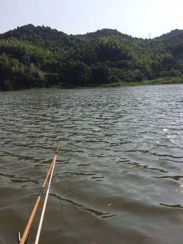 松柏湖钓鱼怎么样，松柏山水库有什么鱼！-第3张图片-平阳县乌魄百货商行