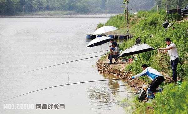 散花水库钓鱼怎么样，散花镇属于哪个市-第2张图片-平阳县乌魄百货商行