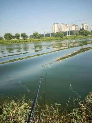 安阳河钓鱼怎么样，安阳河钓鱼位置-第3张图片-平阳县乌魄百货商行