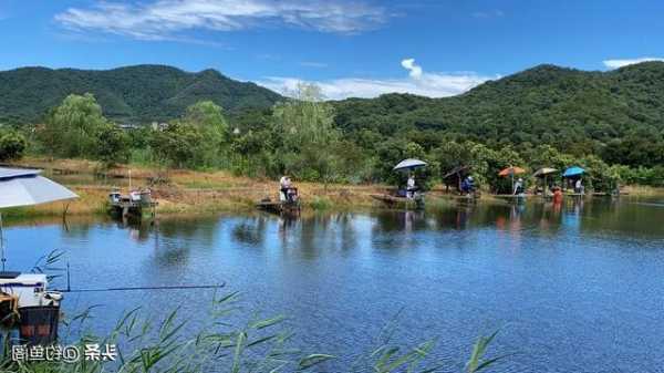 全家钓鱼基地怎么样？全家钓鱼基地怎么样赚钱？-第3张图片-平阳县乌魄百货商行