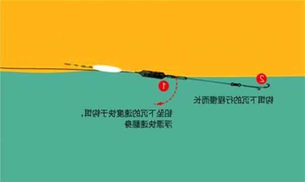 白条怎么样用来钓鱼，白条怎么钓浮还是钓底-第2张图片-平阳县乌魄百货商行