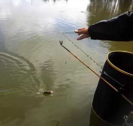 浑水怎么样钓鱼视频，浑水怎么样钓鱼视频教程-第2张图片-平阳县乌魄百货商行