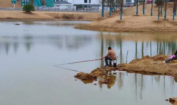 钓鱼怎么样不白板，钓鱼怎么样不白板鱼-第2张图片-平阳县乌魄百货商行