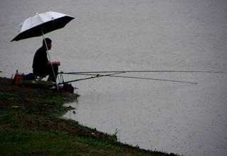 夏季阴雨钓鱼怎么样，夏天阴雨天气钓鱼选点？-第1张图片-平阳县乌魄百货商行