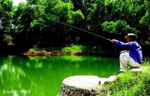 水口长堤钓鱼怎么样，水口长堤钓鱼怎么样好钓吗-第2张图片-平阳县乌魄百货商行