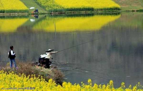 立春河沟钓鱼怎么样？立春河沟钓鱼怎么样好钓吗？-第2张图片-平阳县乌魄百货商行